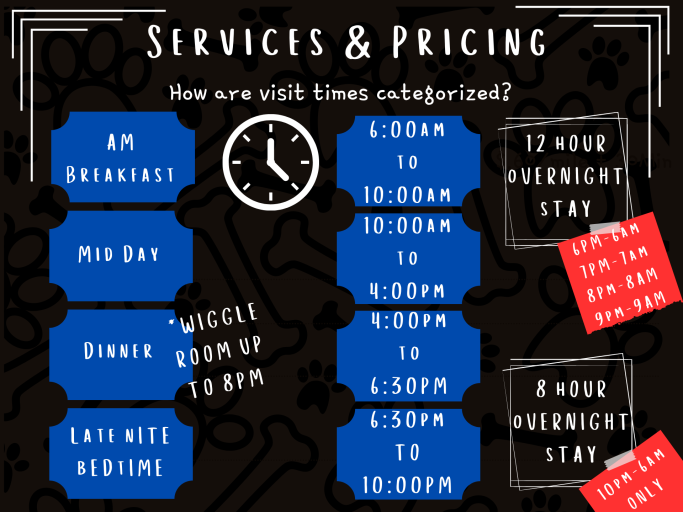 Visit Time Categorization 